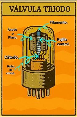 TRIODO DE FOREST 1906